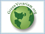 Green Vivarium